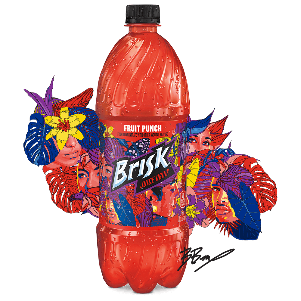 Brisk Fruit Punch Juice, 33.8 fl oz, 6 bottles